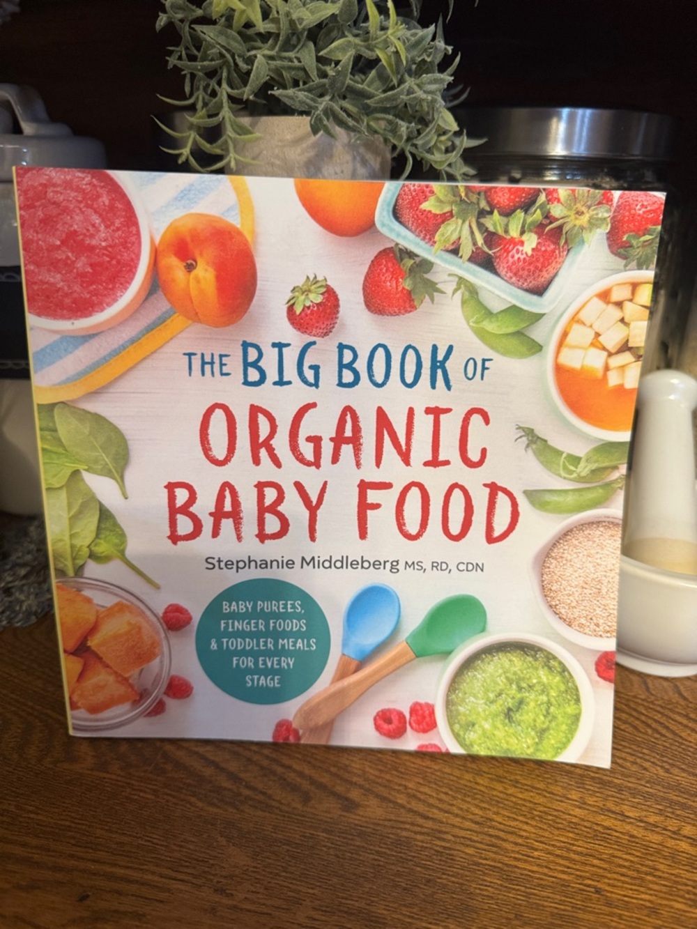 The Big Book of Organic Baby Food